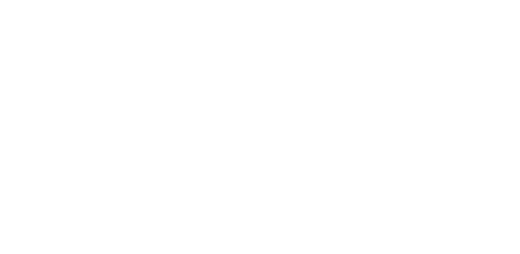 Registered Professional Accountant (RPA)